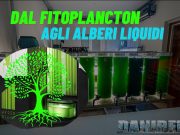 Dal fitoplancton agli alberi liquidi per combattere l’inquinamento fitoplancton negli alberi