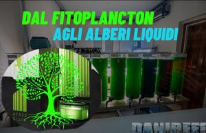 Dal fitoplancton agli alberi liquidi per combattere l’inquinamento fitoplancton negli alberi
