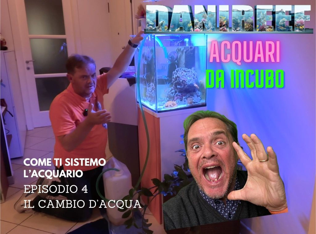 parassiti acquario resilienza