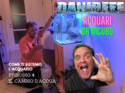 Acquari da incubo – episodio 4 – tutto sul cambio dell’acqua
