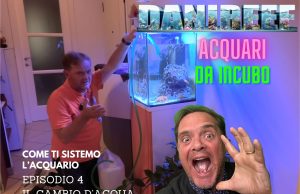 Acquari da incubo – episodio 4 – tutto sul cambio dell’acqua