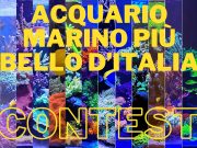 Acquario marino più bello d’Italia: risultati e prossimi incontri