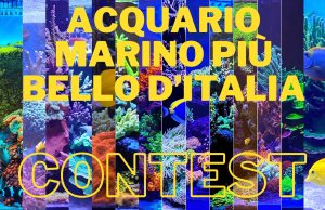 Acquario marino più bello d’italia: contest DaniReef – come partecipare