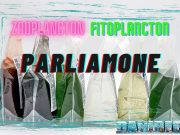 Team Zooplancton o Team Fitoplancton: analizziamo i prodotti BEA