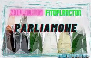 Team Zooplancton o Team Fitoplancton: analizziamo i prodotti BEA