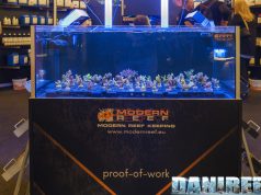 Tutti i nuovi prodotti Modern Reef con le meraviglie di Euro Corals