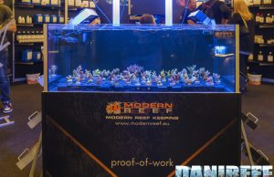 Tutti i nuovi prodotti Modern Reef con le meraviglie di Euro Corals
