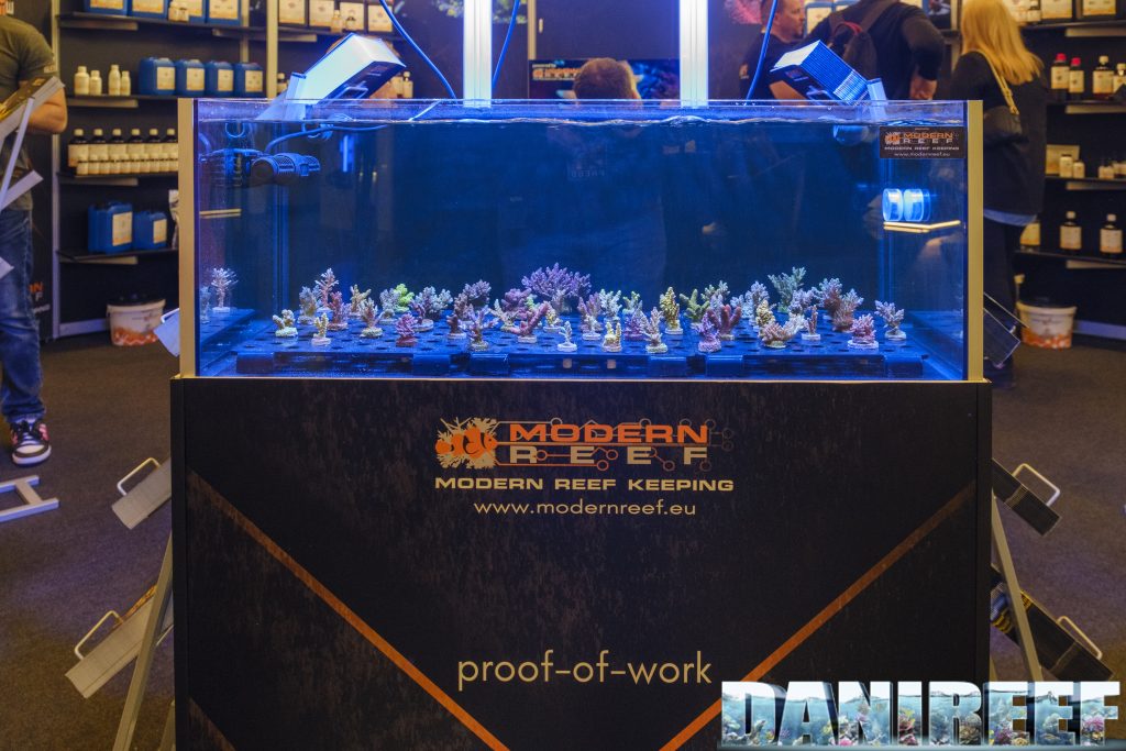 Il taleario con in mostra gli splendidi coralli di Euro Corals allo stand Modern Reef di Interzoo 2024 Il taleario con in mostra gli splendidi coralli di Euro Corals allo stand Modern Reef di Interzoo 2024