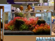 Tropica Aquarium Plants: Stand WOW all’Interzoo 2024