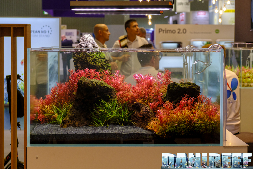 Tropica Aquarium Plants si è presentata all'Interzoo 2024 con uno stand da sogno. A mio avviso il più scenografico della fiera.