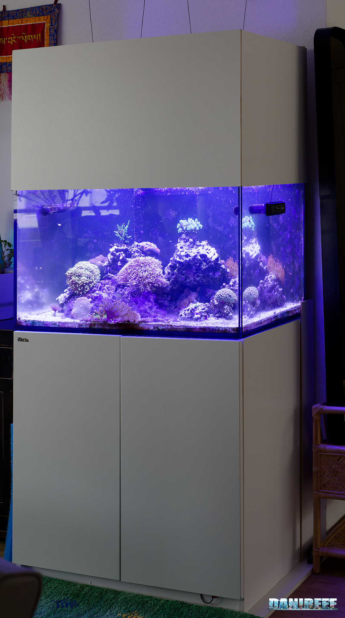 Acquario RedSea Reefer 250 litri con la copertura autocostruita.