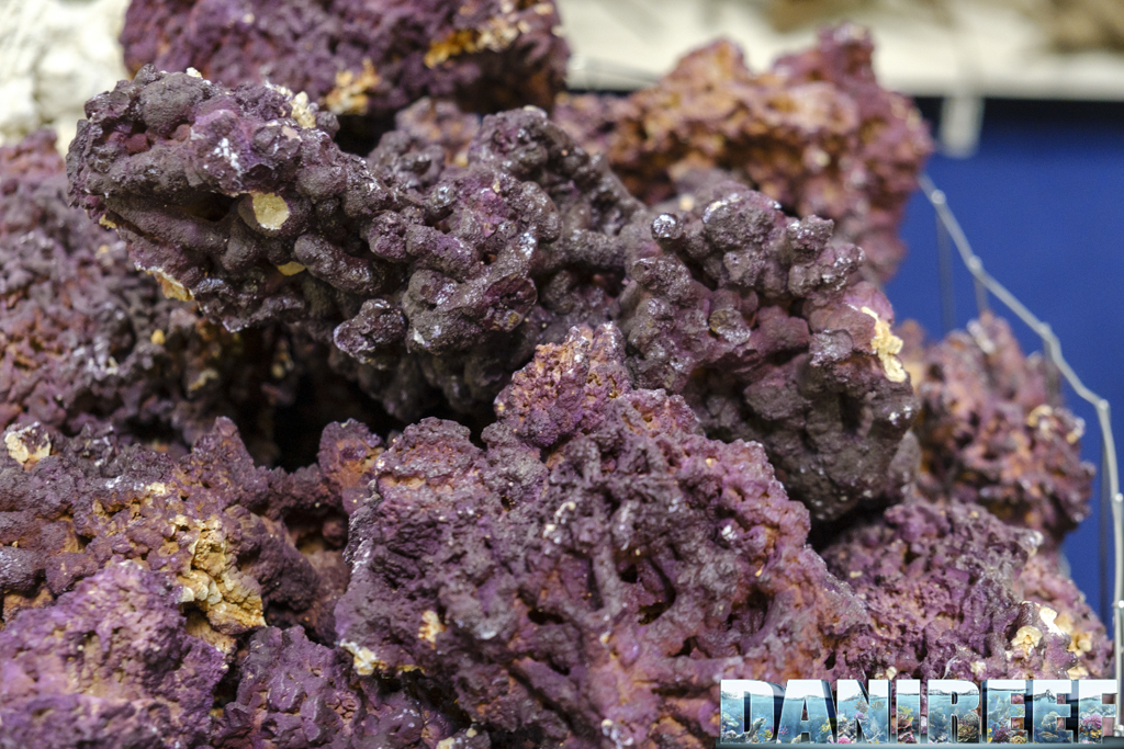 Le Jurassic Reef Rocks con la loro peculiare colorazione violacea Le Jurassic Reef Rocks con la loro peculiare colorazione violacea