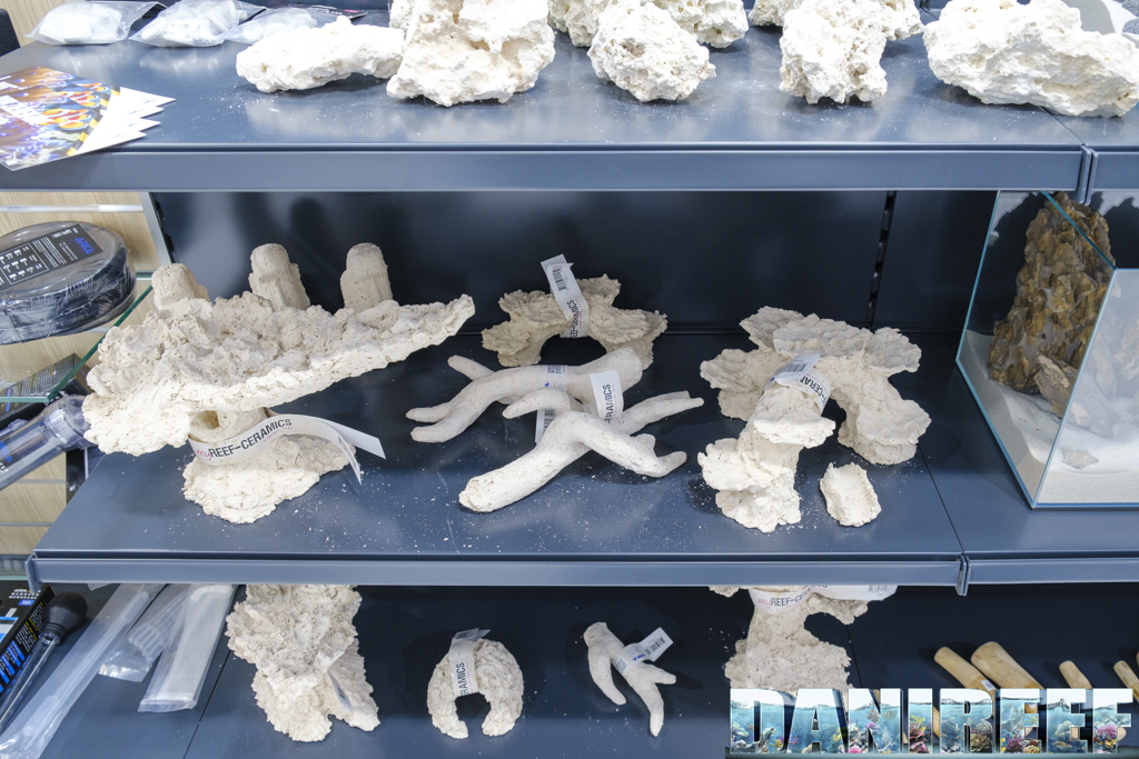 first 100 days of a marine aquarium with controlled lighting and detritivores