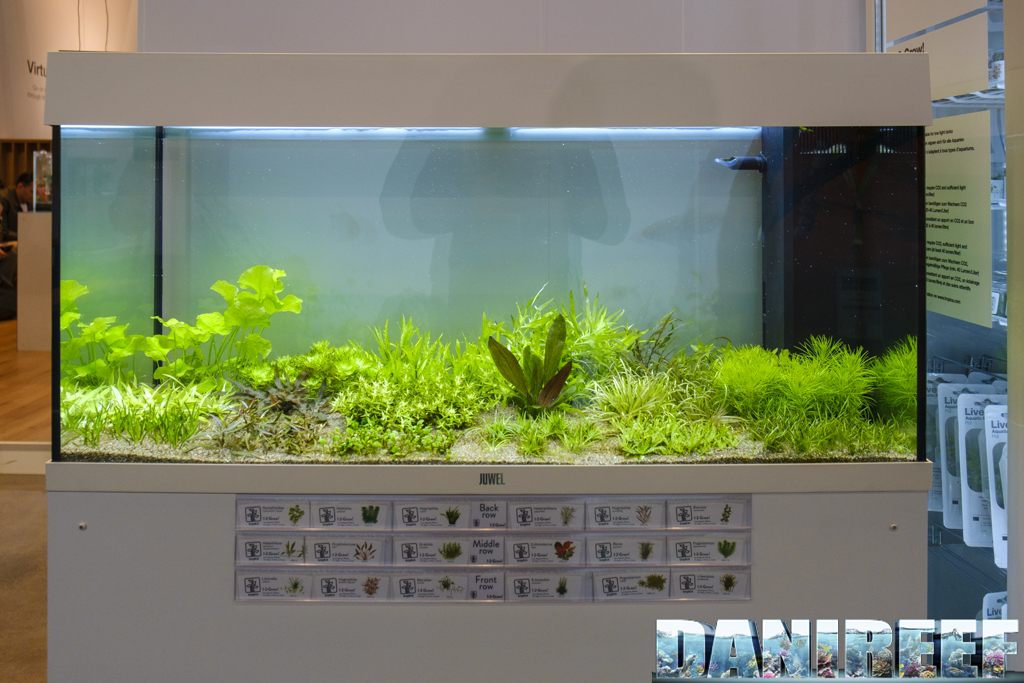 Tropica Piante Interzoo 2024