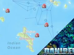 Diffusionedei coralli nelle Seychelles
