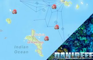 Larve di corallo e barriere coralline: un caso alle Seychelles Diffusionedei coralli nelle Seychelles