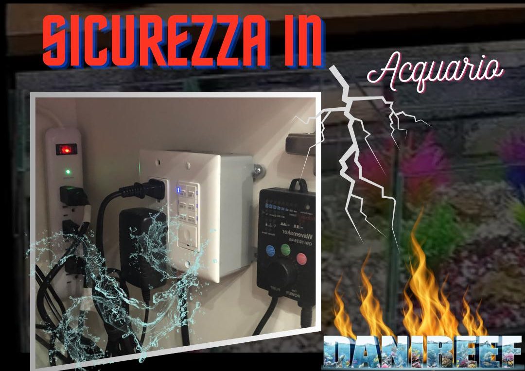 Quadro elettrico dell'acquario marino: 10 Errori da Evitare