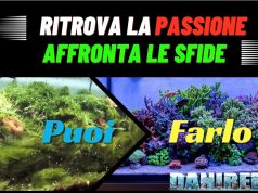 Sfide in acquario