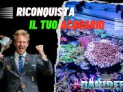 Come combattere i Parassiti ed eliminarli completamente Resilienza contro i parassiti