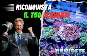 Come combattere i Parassiti ed eliminarli completamente Resilienza contro i parassiti