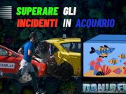Come superare gli incidenti in acquario: La determinazione incidenti acquario