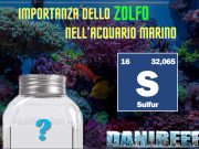 Lo Zolfo: un elemento essenziale negli acquari marini di barriera Lo zolfo