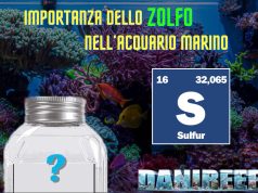 Lo zolfo