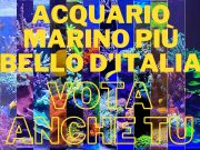 Contest Acquario Marino: i risultati dei primi 4 ottavi di finale