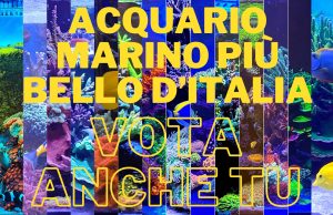 Contest Acquario Marino: i risultati dei primi 4 ottavi di finale