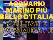Supercontest Acquario Marino: risultati e inizia la gara vera – votate!