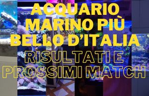 Supercontest Acquario Marino: risultati e inizia la gara vera – votate!
