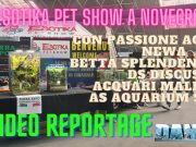 Esotika Pet Show 2024 a Novegro: Editoriale con video