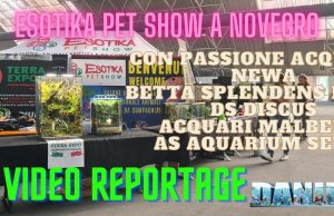 Esotika Pet Show 2024 a Novegro: Editoriale con video