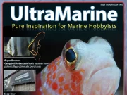 UltraMarine Magazine numero 105 è appena uscito, non perdetevelo!