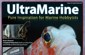UltraMarine Magazine numero 105 è appena uscito, non perdetevelo!
