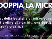 Doppia MicroFauna da Daphbio: in regalo la seconda confezione