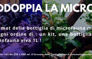 Doppia MicroFauna da Daphbio: in regalo la seconda confezione
