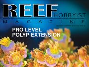 Reef Hobbyist Magazine di maggio parla dell’estensione dei polipi