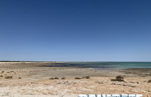 Le meraviglie delle Stromatoliti: un viaggio nel tempo (e sono cianobatteri!)