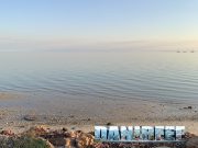 I delfini di Monkey Mia: una straordinaria esperienza in Shark Bay Australia