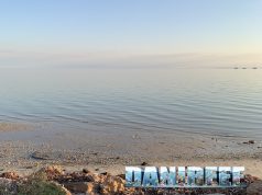 I delfini di Monkey Mia: una straordinaria esperienza in Shark Bay Australia