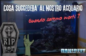 Cosa succederà al nostro acquario quando saremo morti? Cosa succederà al nostro acquario