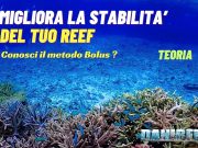 Il Metodo Bolus per Acquariofili: Guida Completa parte 1 Metodo Bolus
