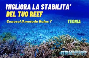 Il Metodo Bolus per Acquariofili: Guida Completa parte 1 Metodo Bolus