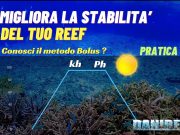 Metodo Bolus per Acquariofili: Guida Completa parte 2 Metodo bolus