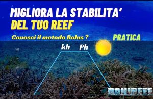 Metodo Bolus per Acquariofili: Guida Completa parte 2 Metodo bolus