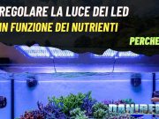 Regolazione dell’illuminazione in funzione dei nutrienti in acquario Regolazione dell'illuminazione led