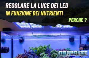 Regolazione dell’illuminazione in funzione dei nutrienti in acquario Regolazione dell'illuminazione led