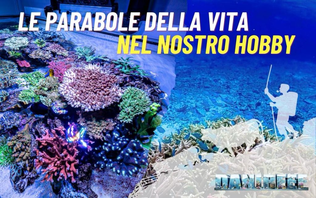 Le parabole della vita valgono anche sull'acquario marino
