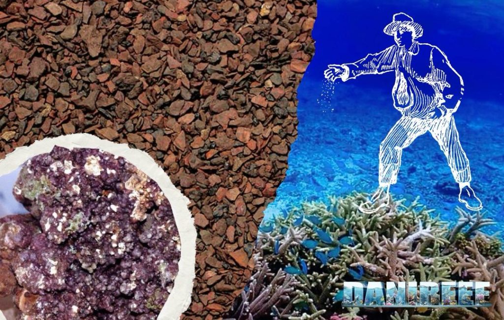 Le parabole in acquario